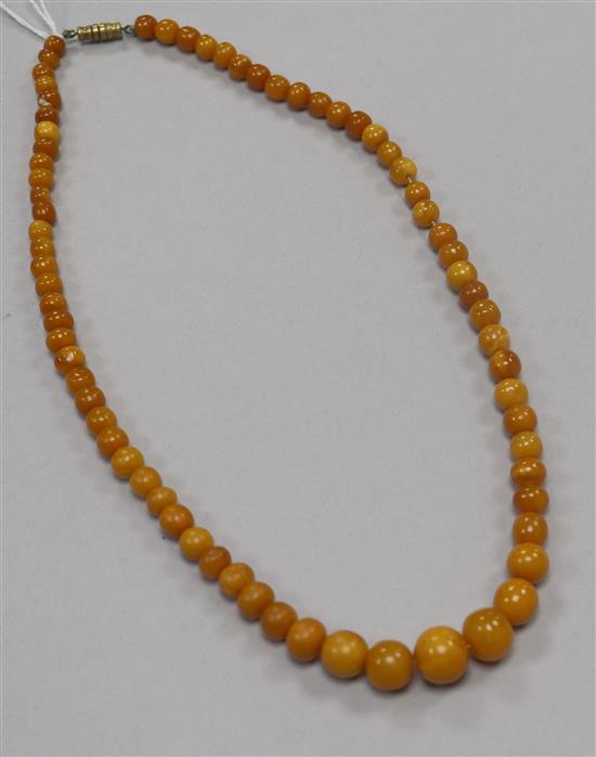 A single strand graduated amber bead necklace, gross 21 grams, 50cm